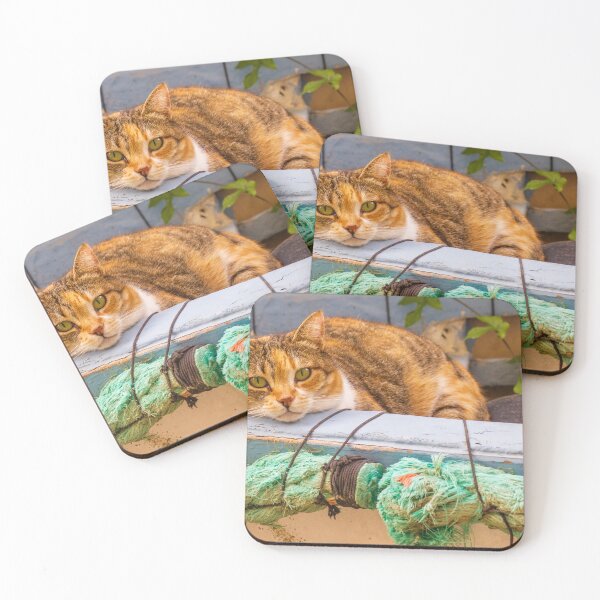 Item preview, Calico Cat Relaxing in Weathered Boat With Green Rope Outdoors designed and sold by Nmallia.