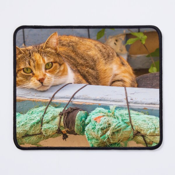 Item preview, Calico Cat Relaxing in Weathered Boat With Green Rope Outdoors designed and sold by Nmallia.