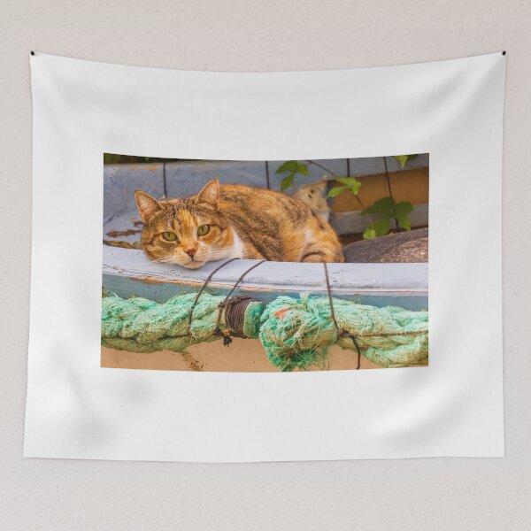 Item preview, Calico Cat Relaxing in Weathered Boat With Green Rope Outdoors designed and sold by Nmallia.