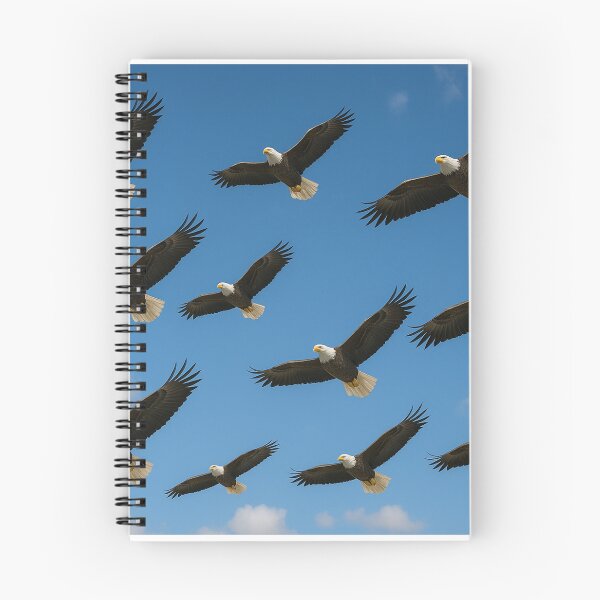 Item preview, A flock of eagles is flying out to hunt for prey. designed and sold by Chaiyanont.