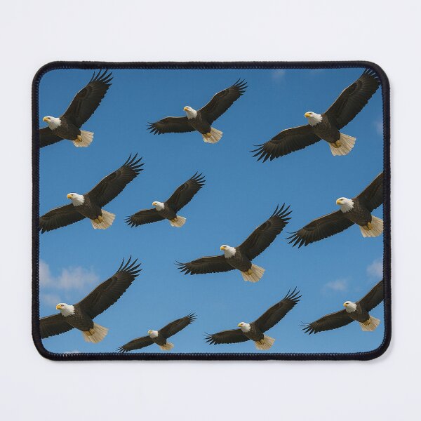Item preview, A flock of eagles is flying out to hunt for prey. designed and sold by Chaiyanont.