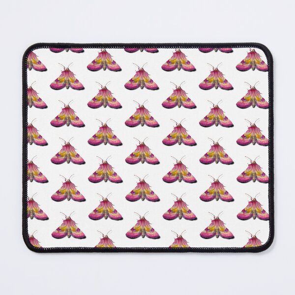 Item preview, Pattern Philareta treitschkii Moth Illustration designed and sold by creativevandal.