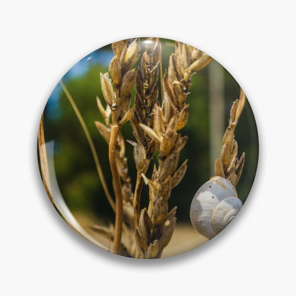 Item preview, Snail on Dry Wheat Stalks in a Sunny Rural Field Scene designed and sold by Nmallia.
