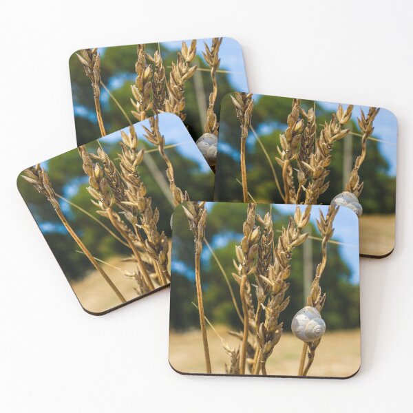 Item preview, Snail on Dry Wheat Stalks in a Sunny Rural Field Scene designed and sold by Nmallia.