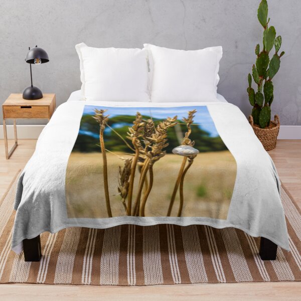 Item preview, Snail on Dry Wheat Stalks in a Sunny Rural Field Scene designed and sold by Nmallia.