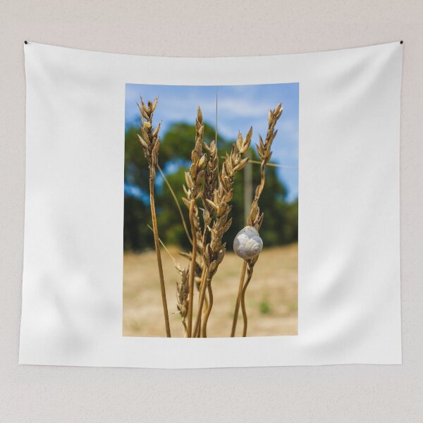 Item preview, Snail on Dry Wheat Stalks in a Sunny Rural Field Scene designed and sold by Nmallia.