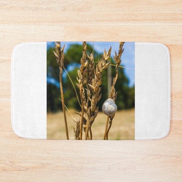 Item preview, Snail on Dry Wheat Stalks in a Sunny Rural Field Scene designed and sold by Nmallia.