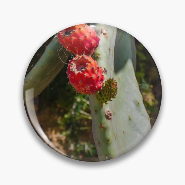 Item preview, Close-Up of Prickly Pear Cactus Plant with Ripe Red Fruit designed and sold by Nmallia.