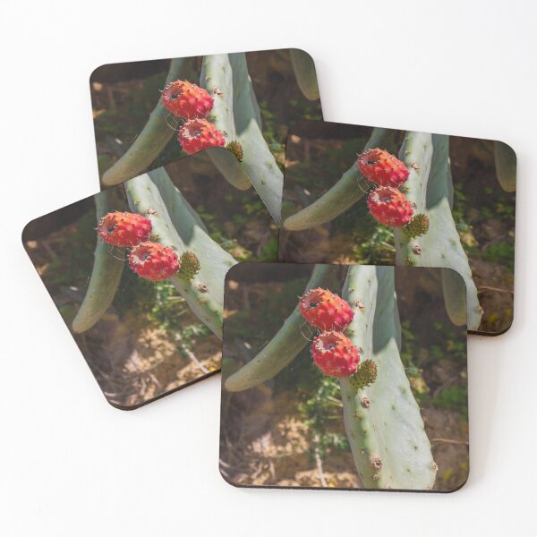 Item preview, Close-Up of Prickly Pear Cactus Plant with Ripe Red Fruit designed and sold by Nmallia.