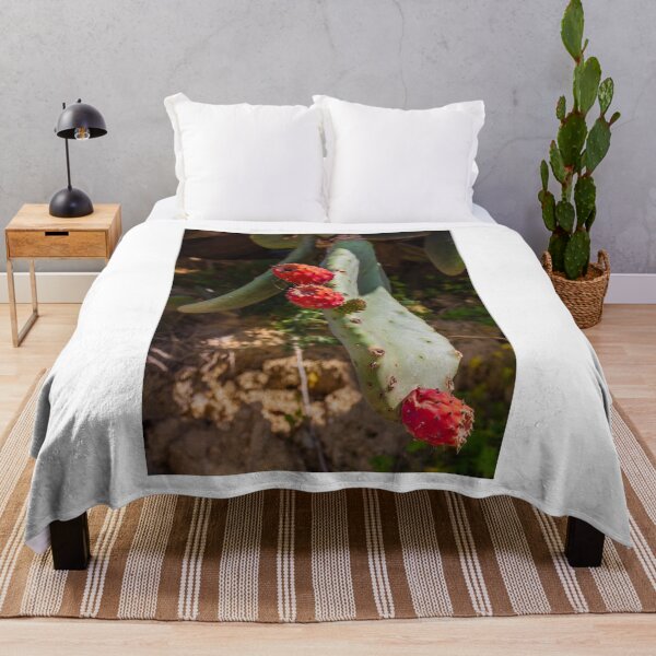 Item preview, Close-Up of Prickly Pear Cactus Plant with Ripe Red Fruit designed and sold by Nmallia.