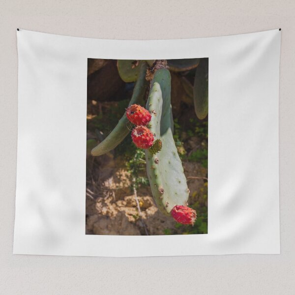 Item preview, Close-Up of Prickly Pear Cactus Plant with Ripe Red Fruit designed and sold by Nmallia.