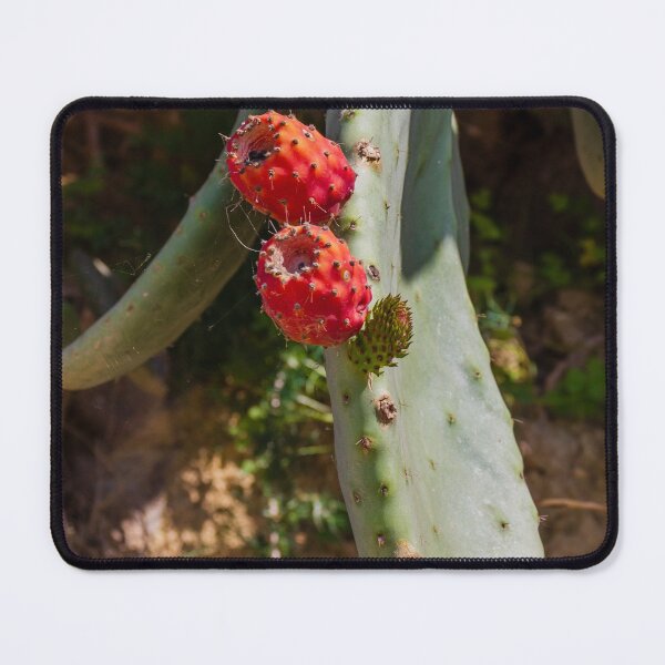 Item preview, Close-Up of Prickly Pear Cactus Plant with Ripe Red Fruit designed and sold by Nmallia.