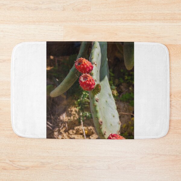 Item preview, Close-Up of Prickly Pear Cactus Plant with Ripe Red Fruit designed and sold by Nmallia.