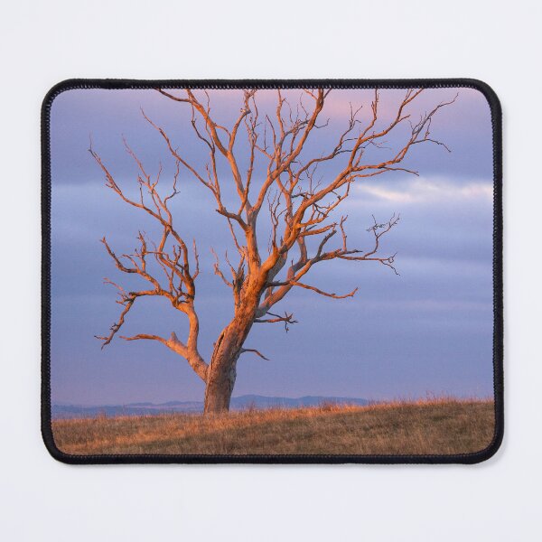 Item preview, Sunset tree - Barossa Goldfields, South Australia designed and sold by EGRS Photography.