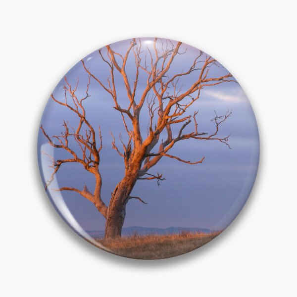 Item preview, Sunset tree - Barossa Goldfields, South Australia designed and sold by EGRS Photography.