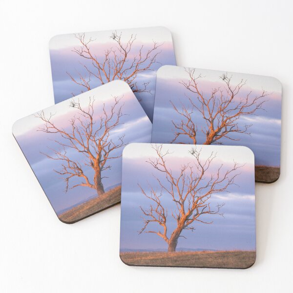 Item preview, Sunset tree - Barossa Goldfields, South Australia designed and sold by EGRS Photography.