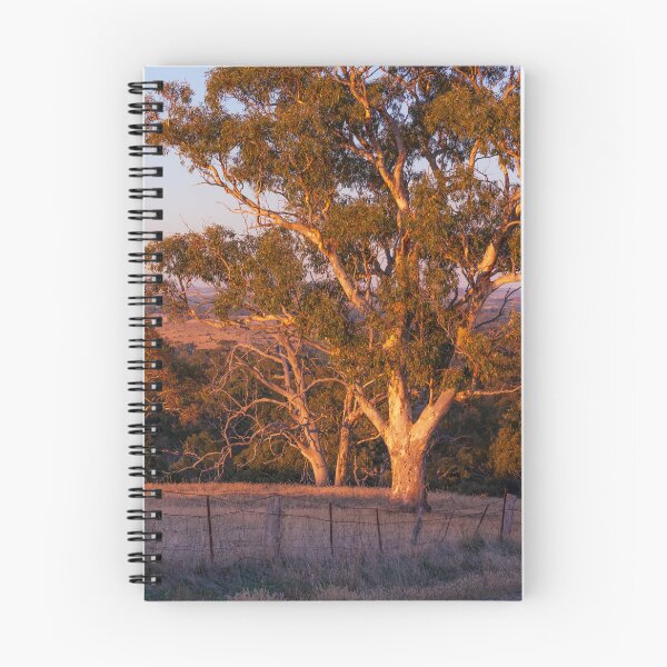 Item preview, Golden Landscape - Barossa Goldfields, South Australia designed and sold by EGRS Photography.