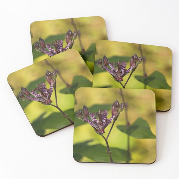 Item preview, Exotic Tricyrtis Lily designed and sold by Georgia Mizuleva.