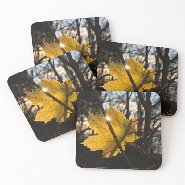 Item preview, Spotlight on Autumn designed and sold by Georgia Mizuleva.