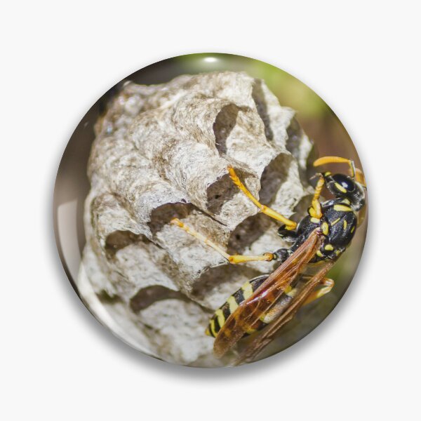 Item preview, honey bee in the nest designed and sold by Nmallia.
