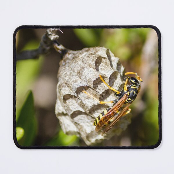 Item preview, honey bee in the nest designed and sold by Nmallia.