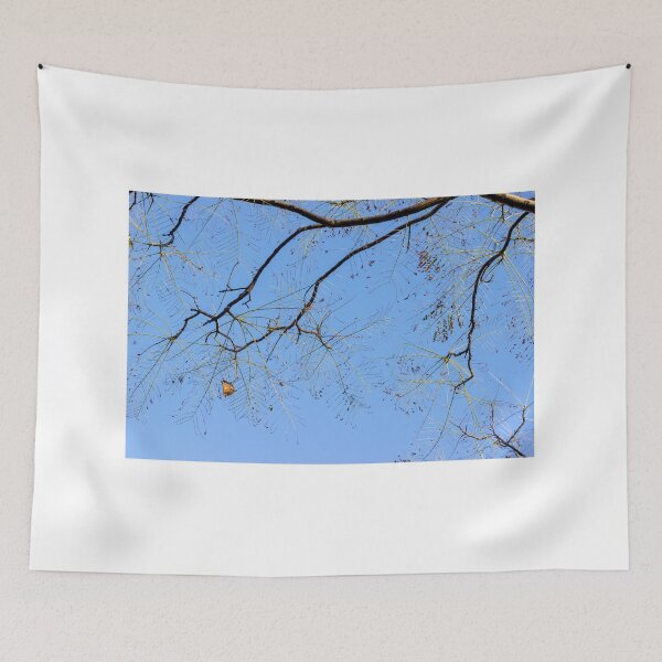 Item preview, branches of a tree against the sky designed and sold by Nmallia.