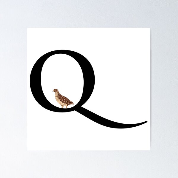 Item preview, Q is for quail designed and sold by natzshaw.