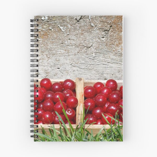 Item preview, Prunus cerasus sour cherry fruit in their garden designed and sold by Claraveritas.