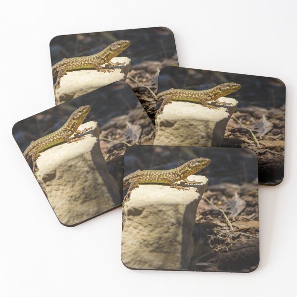 Item preview, Lizard in the Wild designed and sold by Nmallia.