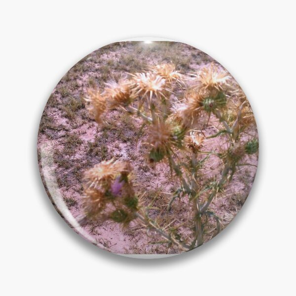 Artikelvorschau, Catcus im Calico Basin entworfen und verkauft von GloriaGranat.