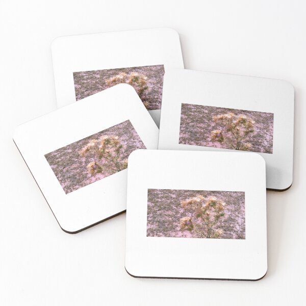Item preview, Catcus in Calico Basin designed and sold by GloriaGranat.