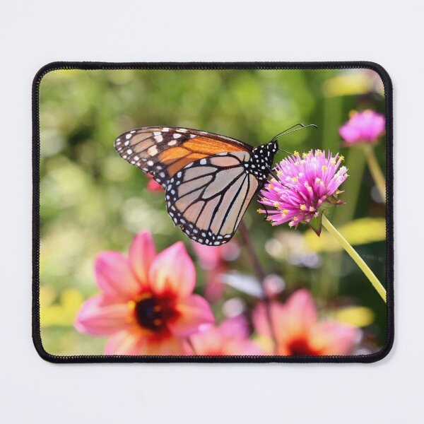 Item preview, Butterfly on Chive Plant designed and sold by BostonArcImage.