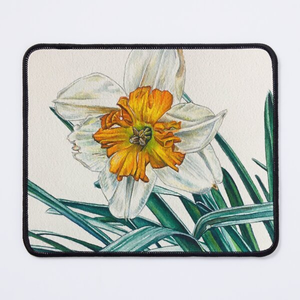 Item preview, White and Orange Daffodil - Watercolor designed and sold by npellegrini.