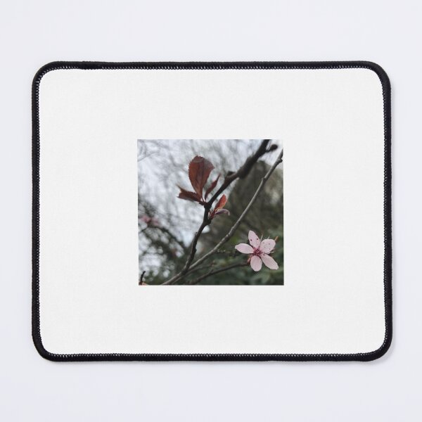 Item preview, Deutsch: „Blühende Hoffnung“ : „Blossom of Hope“ designed and sold by Yaroplanner.