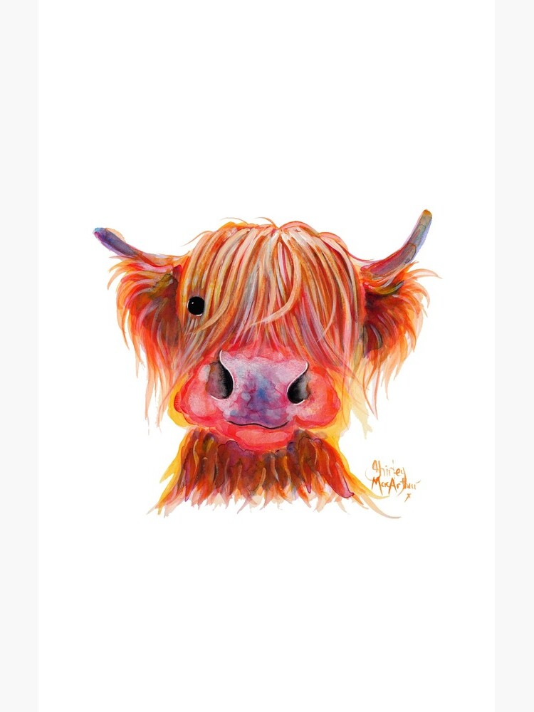 Scottish Highland Hairy Cow ' CHILLI CHOPS ' by Shirley MacArthur by ShirleyMacA