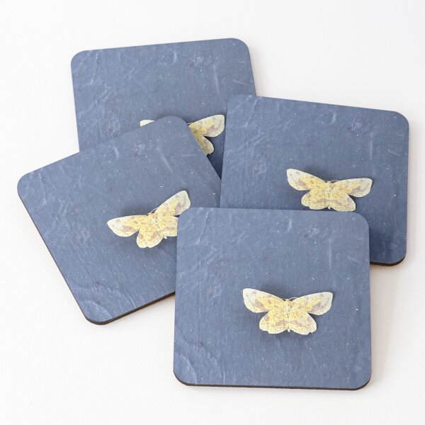 Item preview, Geometer moth designed and sold by Alice Kahn.