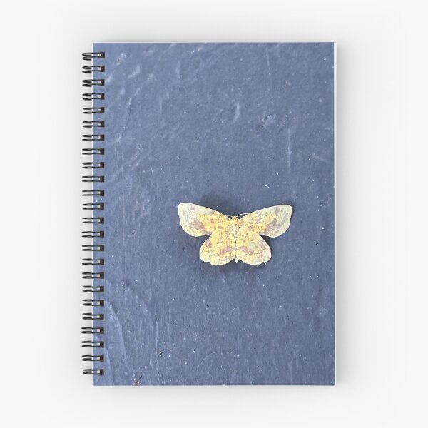 Item preview, Geometer moth designed and sold by Alice  Becky Kahn.