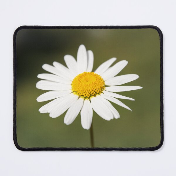 Item preview, Daisy designed and sold by JEZ22.