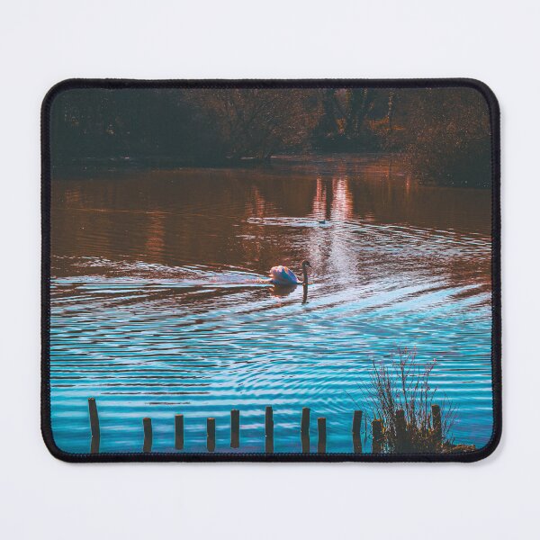 Item preview, Peatmoor Swan designed and sold by Rising Phoenix Photos.