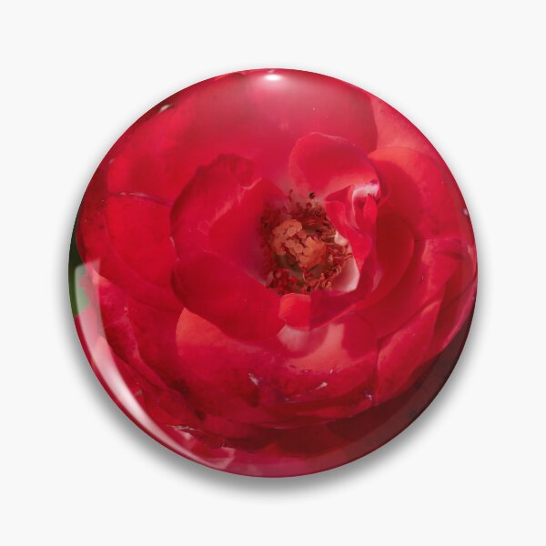 Item preview, Planten und Blomen red. Roses of the late summer series numer 5 designed and sold by Jouko Lehto Photography.