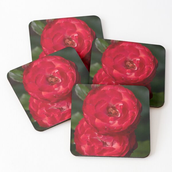 Item preview, Planten und Blomen red. Roses of the late summer series numer 5 designed and sold by Jouko Lehto Photography.