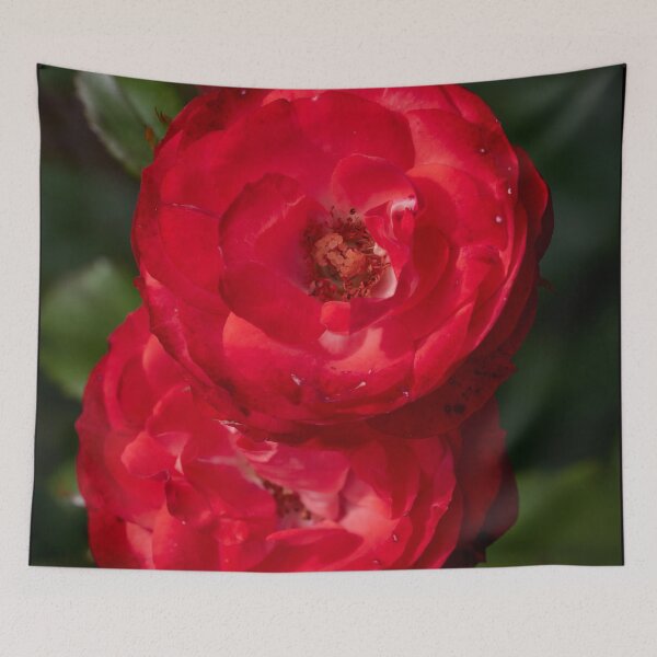 Item preview, Planten und Blomen red. Roses of the late summer series numer 5 designed and sold by Jouko Lehto Photography.
