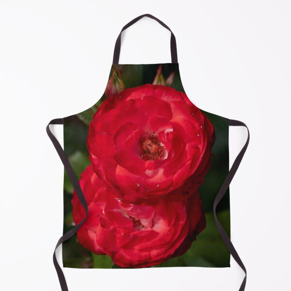 Item preview, Planten und Blomen red. Roses of the late summer series numer 5 designed and sold by Jouko Lehto Photography.