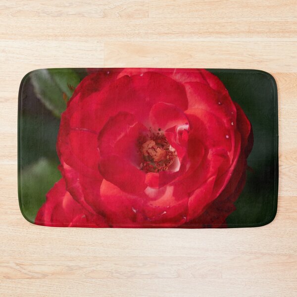 Item preview, Planten und Blomen red. Roses of the late summer series numer 5 designed and sold by Jouko Lehto Photography.
