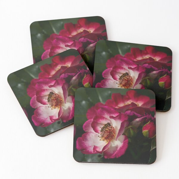 Item preview, Hoverflies dream. Roses of the late summer series numer 7 designed and sold by Jouko Lehto Photography.