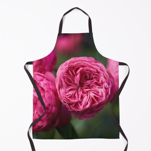 Item preview, Presumptuous pink. Roses of the late summer series numer 10 designed and sold by Jouko Lehto Photography.