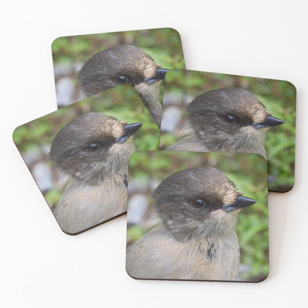 Item preview, Headshot. Siberian jay designed and sold by Jouko Lehto Photography.