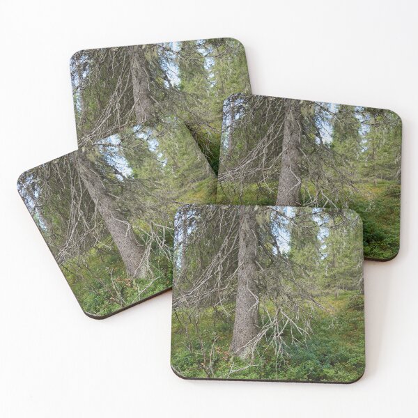 Item preview, Old spruce. Valtavaara 2025 number 4 designed and sold by Jouko Lehto Photography.
