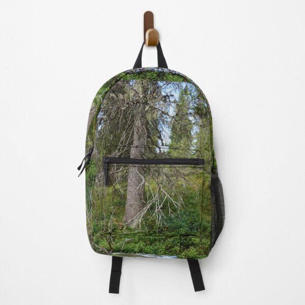 Item preview, Old spruce. Valtavaara 2025 number 4 designed and sold by Jouko Lehto Photography.