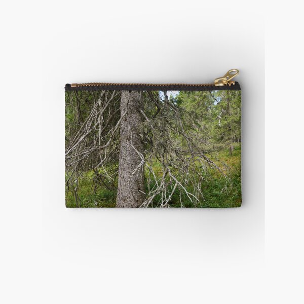 Item preview, Old spruce. Valtavaara 2025 number 4 designed and sold by Jouko Lehto Photography.